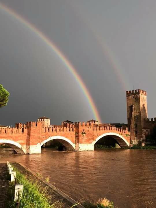 albe4610's tweet photo. Mette serenità 😍 https://t.co/XJe35qG4pW