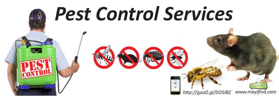 mayifind's tweet photo. #mayifind #best #pests #controls #service #home #offices #apartments #TermiteControl #BedBugs #MalariaControl #DengueControl #AntControl #RodentControl #WoodBorerControl #MosquitoControl #CockroachControl #FleasControl #WaspControl #Pest #Control #Services in your #City https://t.co/lyqRNqBLBm