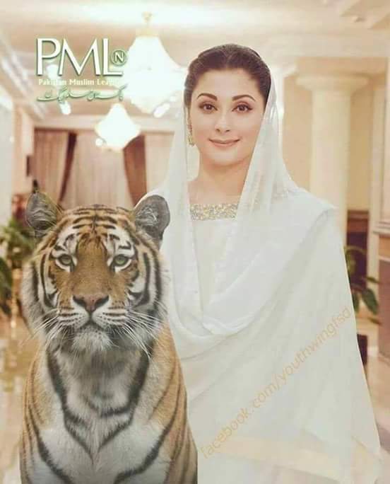 Happy Birthday to my great sister Maryam Nawaz Sharif. 