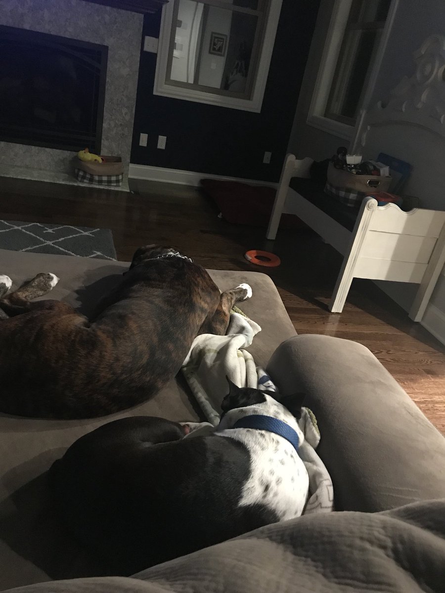 BBQ'd Productions tweet media