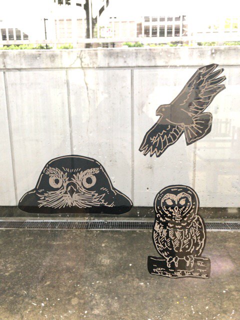 またまた余談ですが、鳥見部の部室窓に貼ってある謎のシールはバードセーバーという衝突防止のものです。写真は手作りの超雑なものですが、何も無いよりは鳥は気づきやすいそうです。 