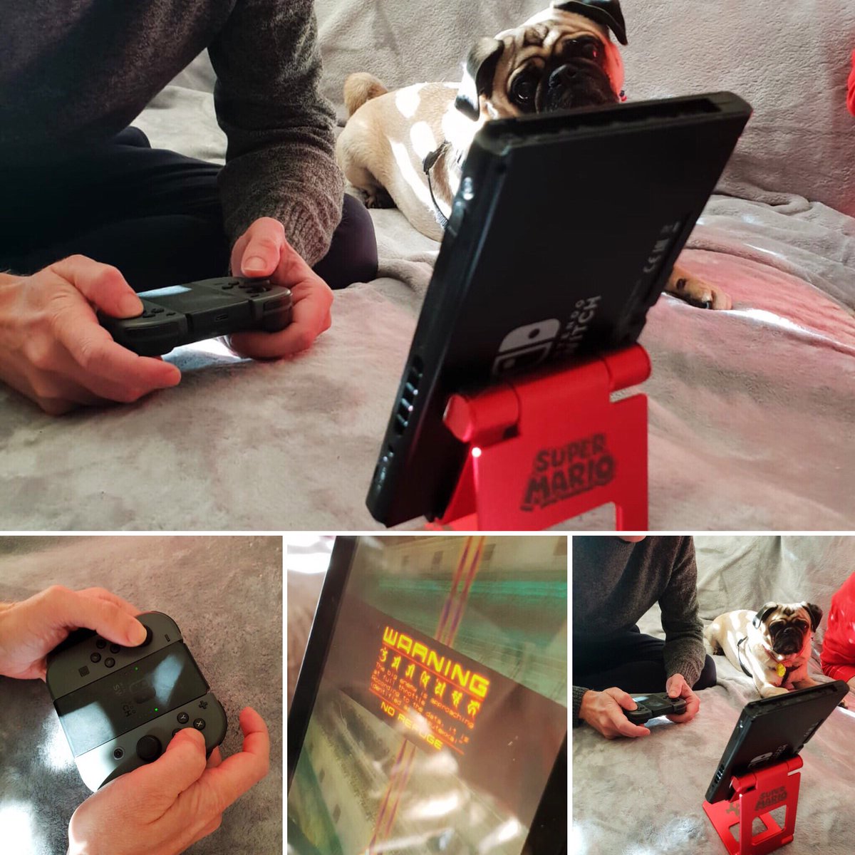 NintendoNorwich's tweet photo. Today, the NNR boys are playing #ikaruga in sofa-top mode 😂🙈🚀 #nintendoswitch #norwich #switchplayers #gamers #pugsofinstagram https://t.co/HYTuOI0REd