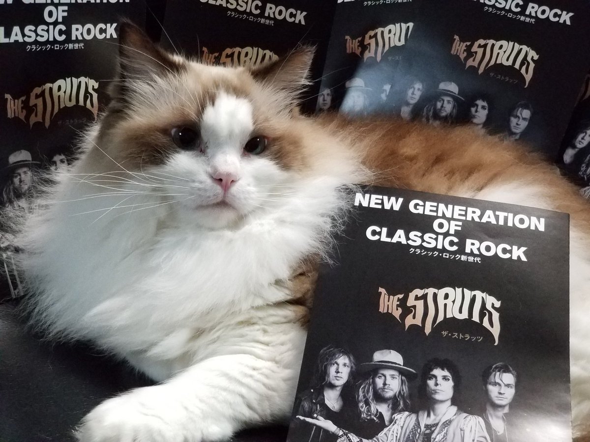 あらたん tweet media