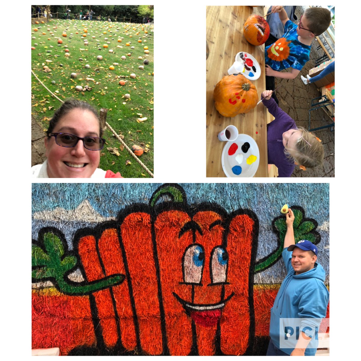 MrsBloomrose's tweet image. We made it to “il giardino delle zucche” (pumpkin patch) on the last day! Italians don’t normally pick pumpkins and paint/carve them, but this family has introduced it to accommodate us Americans! They had theme of Spookley the Square Pumpkin! #adventureavocado #spookley