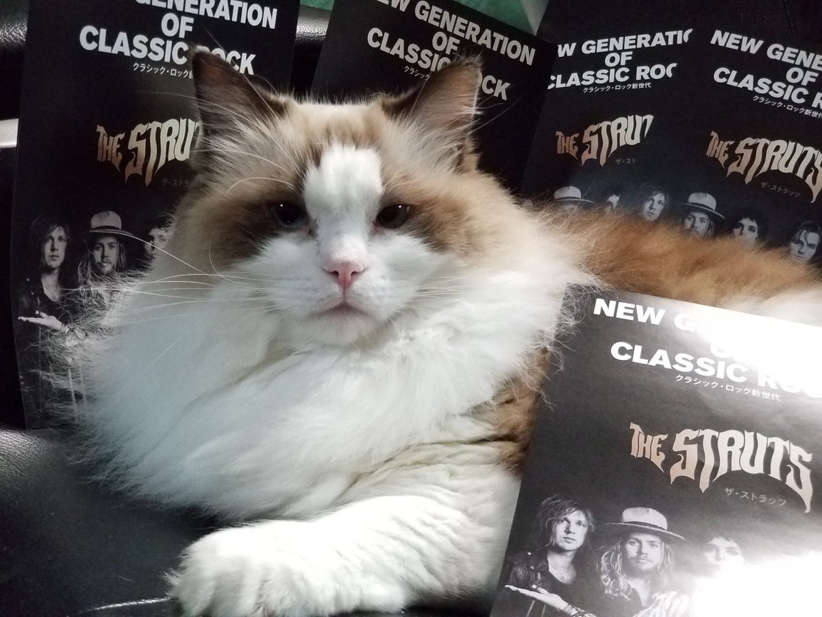 あらたん tweet media