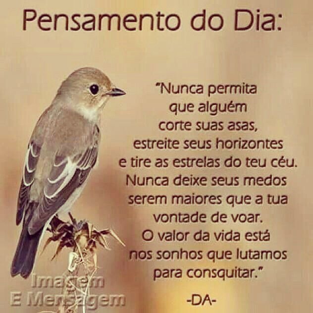 GabrielSdS06's tweet photo. Bom dia e um ótimo domingo abençoado pra todos nós ☁️☀️🙏🍃 https://t.co/zL0Os0kp5I