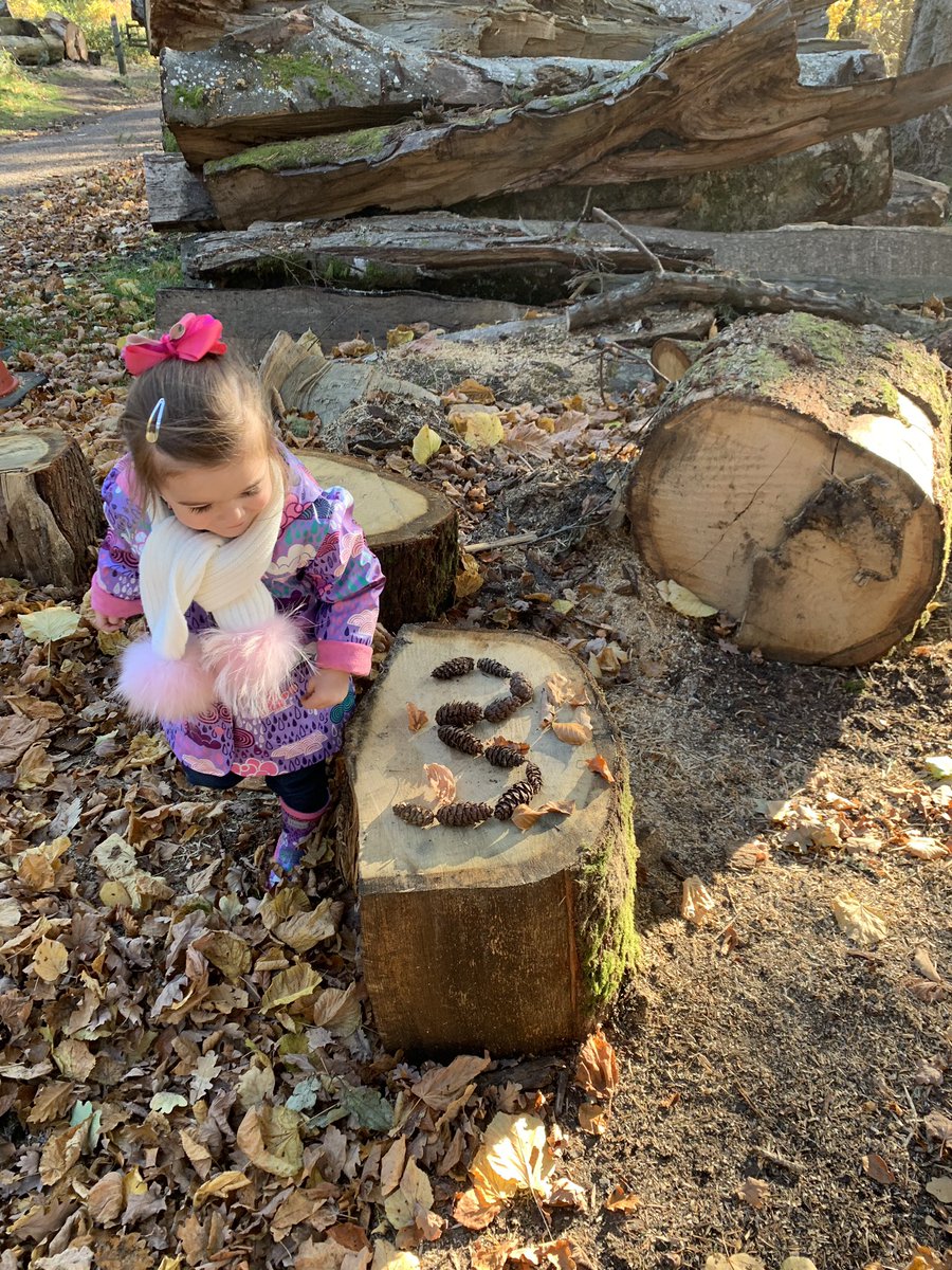 Stephanie Johnston tweet media