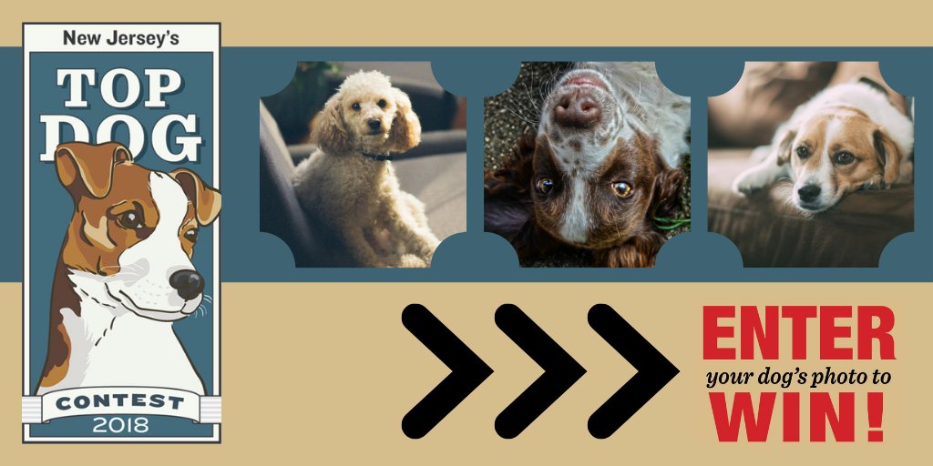 NJMonthly's tweet photo. Who will be NJ’s Top Dog 2018? Submit a photo of your dog now: https://t.co/ax6mcxbfeZ Sponsored by @PurrNPooch https://t.co/icXqRTpbPS