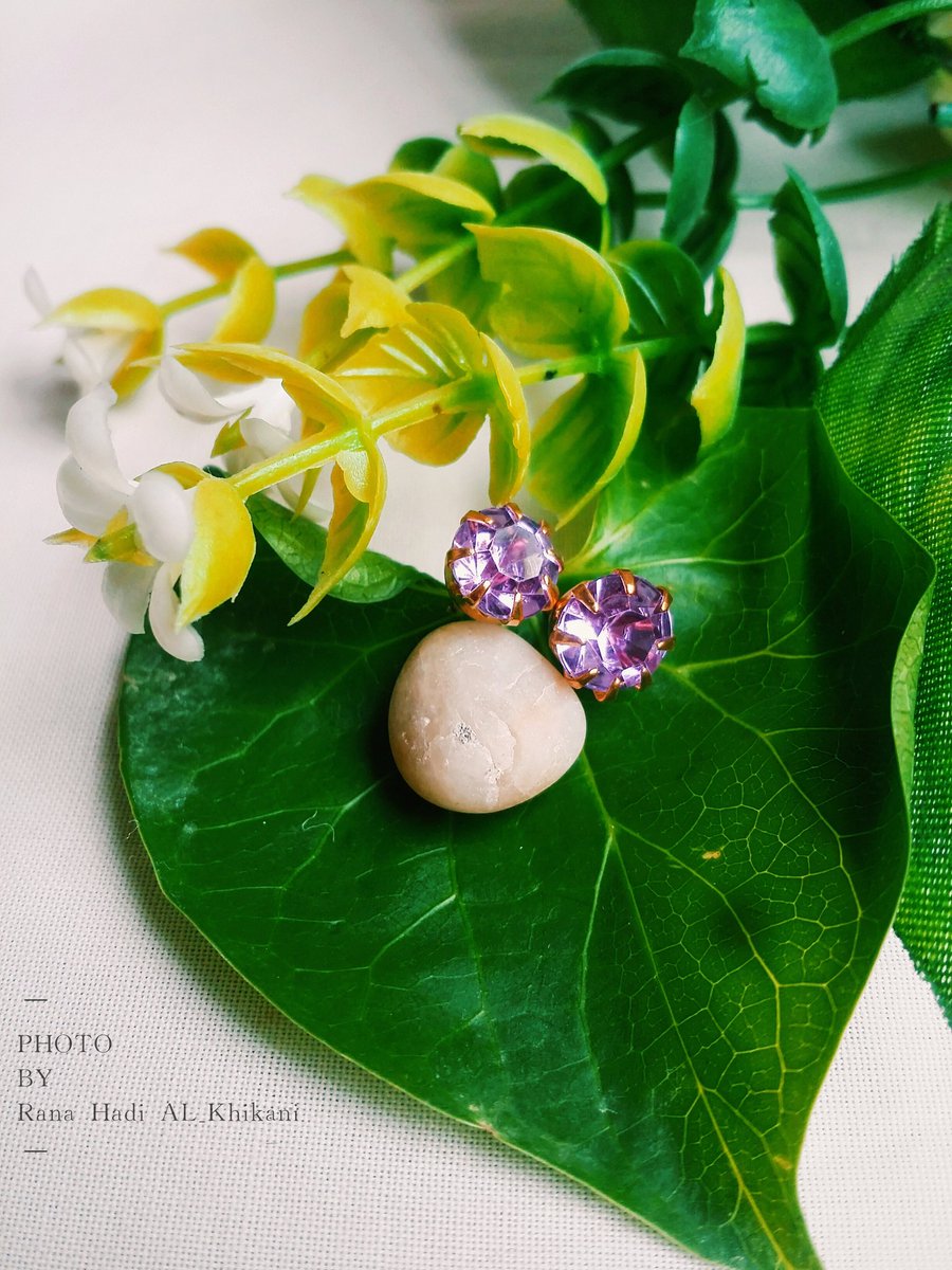 SpiritEATCHAN's tweet photo. My phone camera
#photo #photogrphy https://t.co/JvFwfI4TJW