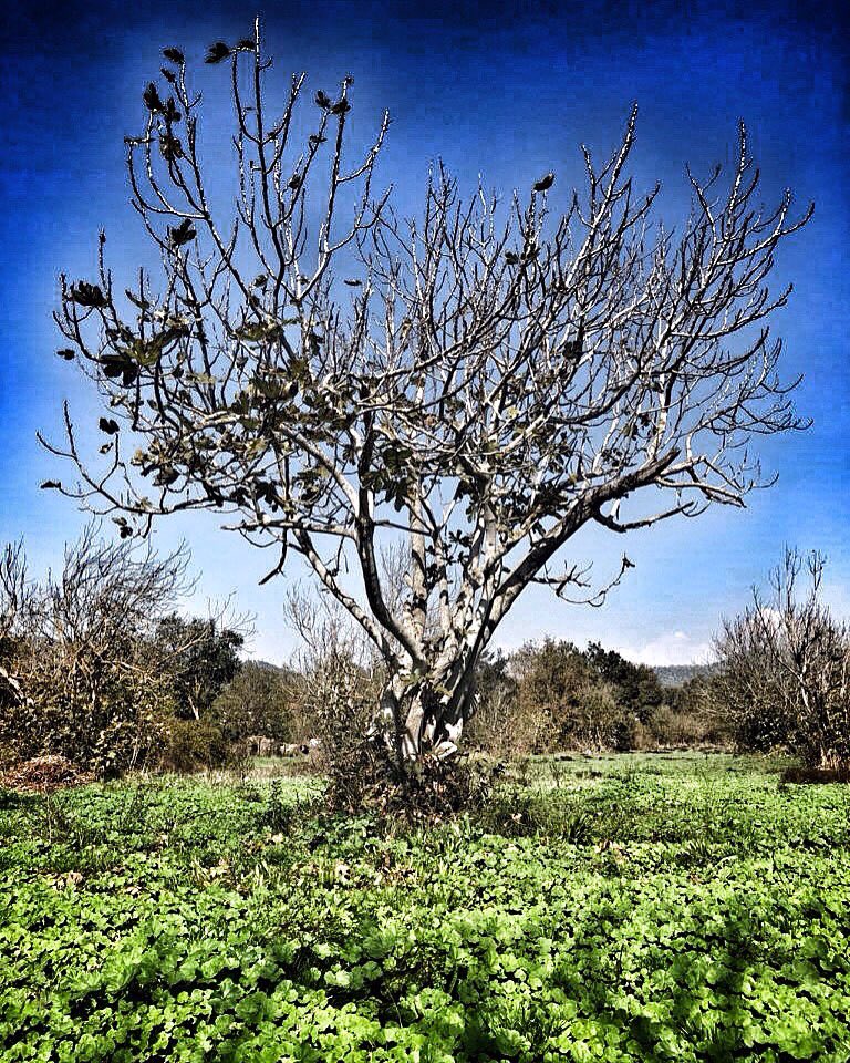 sevincyavuz's tweet image. &quot;Herkesin ölümü kendi rengindedir...&quot; 
Sevgili Katilim&apos;den.
#sevgilikatilim #profilkitap #türkserikatiller #roman