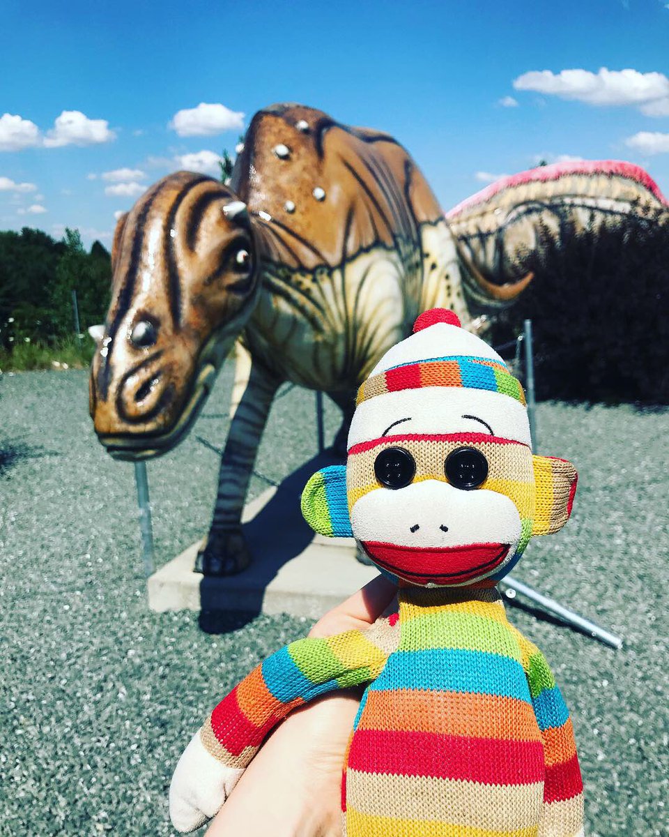 marcelmonkeys tweet picture
