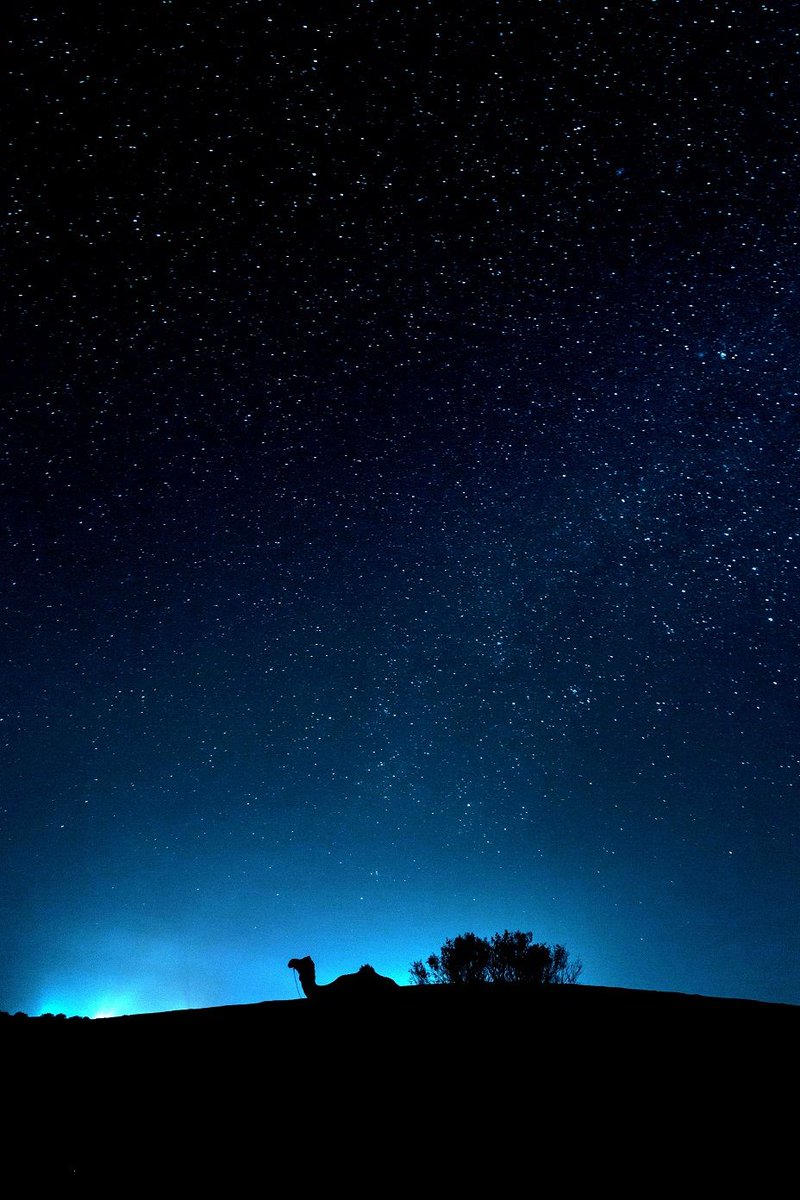 PicsdreamIndia's tweet photo. The darkest night produces the brightest stars. ⭐️🌙 Why not create your own starry nights for your personal spaces too? Explore the many ways here : https://t.co/PMDSo5wnS2
#LowLightPhotography #Photography #WallArt #CanvasPrints #MetalPrints #FramedPrints #CustomPrints https://t.co/W3nL3W5ci6