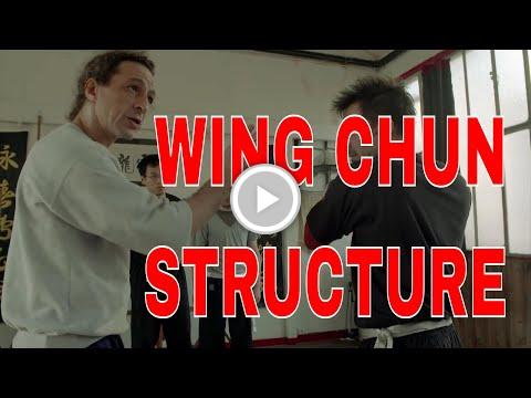 buy biegeverhalten von platten mit vorspannung