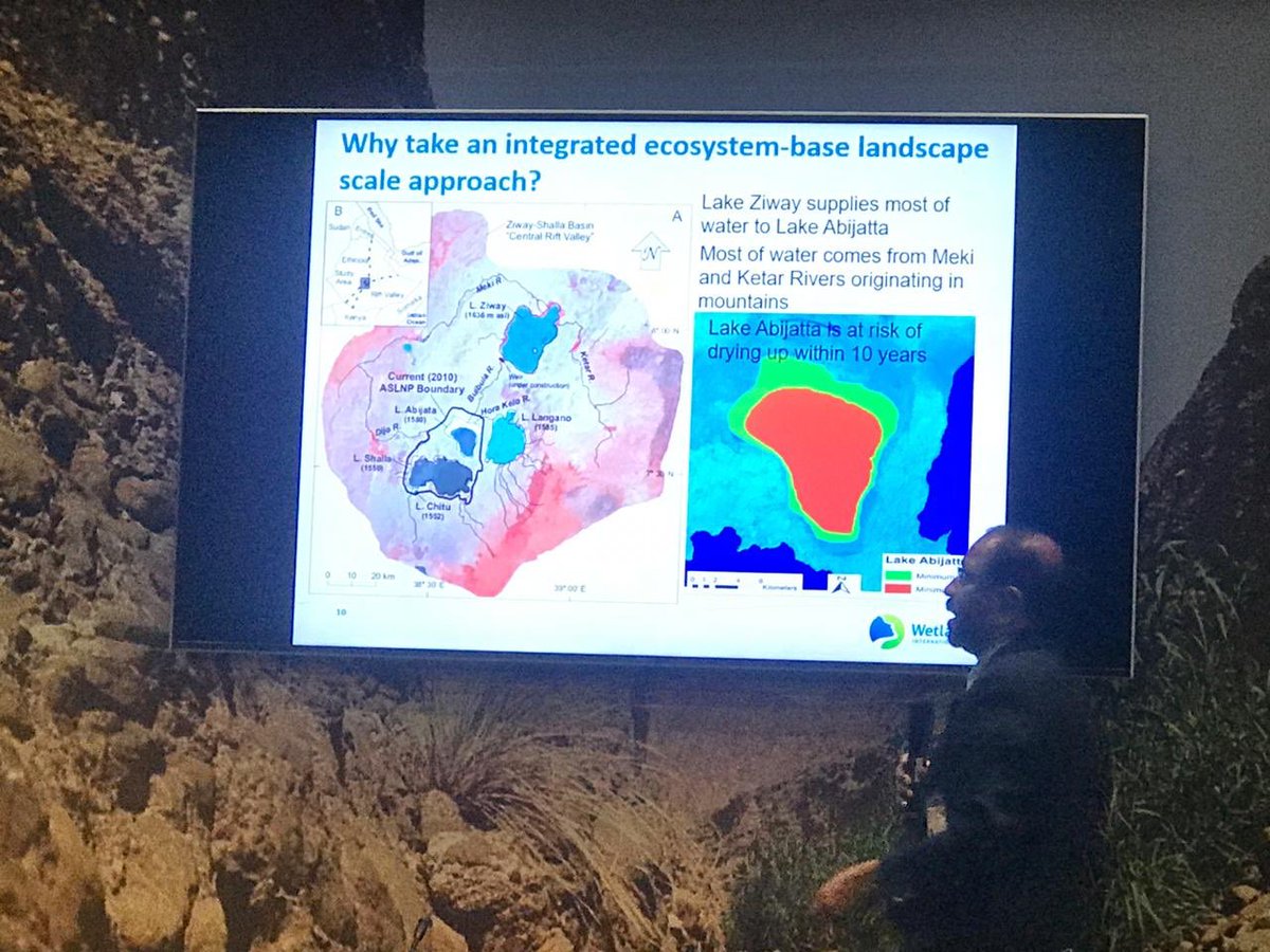 #wetlands form parts of the water system across a landscape. The condition of wetlands are interelated. Therefore landscape approach is an effective way to restore wetlands. <a href="/RamsarConv/">Convention on Wetlands</a> #ramsarCOP13