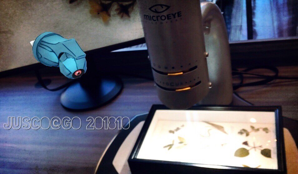 juscogogo's tweet photo. ダンバルは学んでいるようだ!
#ポケモンGOAR #Pokemoncomunityday
#PokemonGOAR
#ダンバル #Beldum #JuscoAR
ぐぬぬ博物館内で色違い出なかった🤣 https://t.co/oRSRJpuzgS
