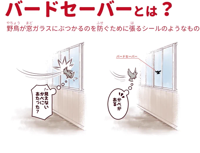 またまた余談ですが、鳥見部の部室窓に貼ってある謎のシールはバードセーバーという衝突防止のものです。写真は手作りの超雑なものですが、何も無いよりは鳥は気づきやすいそうです。 