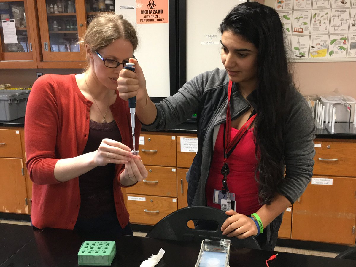 B2bNnj's tweet photo. #STEM #B2B #LSAMP scholars extracted and sequenced DNA from unknown specimens, then ran database comparisons and used computer programming to identify “unknowns” and construct/refine evolutionary trees @pcccstem @DNALC Bioinformatics workshop https://t.co/epOYm7DVzs