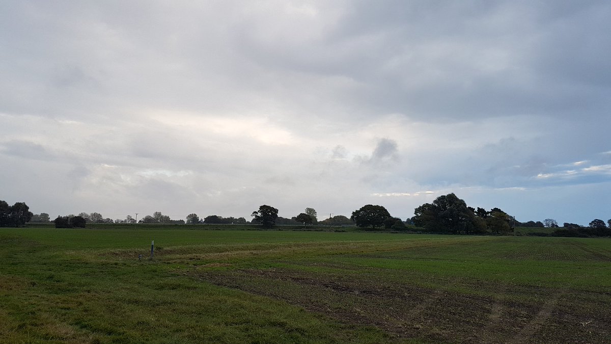 gazleton's tweet photo. I'm out on a wet, windy and cold early morning walk around my local patch. #NorthMundham #Runcton https://t.co/blJU0Lk4NH