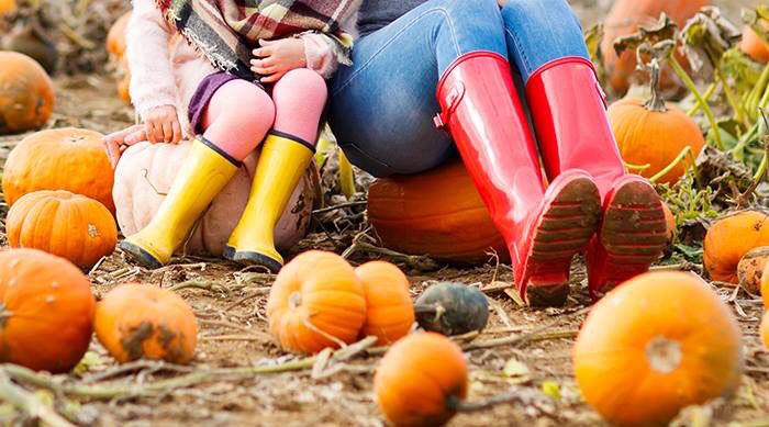 FOOTWEAR: We look forward to welcoming you at Undley Pumpkin Patch &amp; Maize Maze today but do bring wellies as, given the amount of rain, it’s wet and muddy underfoot. 🎃🌧️