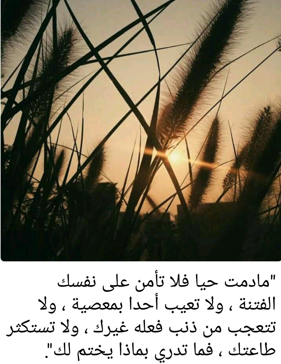 مادمت حيًا فلاتأمن على نفسك
#خير_جليس
#الهدي_النبوي #داعم_للخير #ومضة_حرف #قروبات_الخير #نداء_الخير #قطوف_دعوية #حسنه_تنفعك 
 <a href="/rtweet_alkeer/">رتـــويت الخـيـــر ✒</a> <a href="/sdqaa/">صدقاء ❤️</a> <a href="/I111111I/">رتويت &إسلامي& 300K</a> <a href="/bssmtkher/">🍃قروب بصمة الخير🍃</a> <a href="/islam_rt_all/">ذكر | دعاء | ريتويت</a> <a href="/islamic_pic/">صور إسلامية</a> <a href="/RTwit_1/">رتويت محب الخير</a> <a href="/maaamll9/">رتويت المعتزه بدينها</a> <a href="/Nabilx12121/">بــــــــــــرّاق</a> <a href="/a_s_hebrahim/">احساس العالم🇧🇭🇧🇭♥️</a>