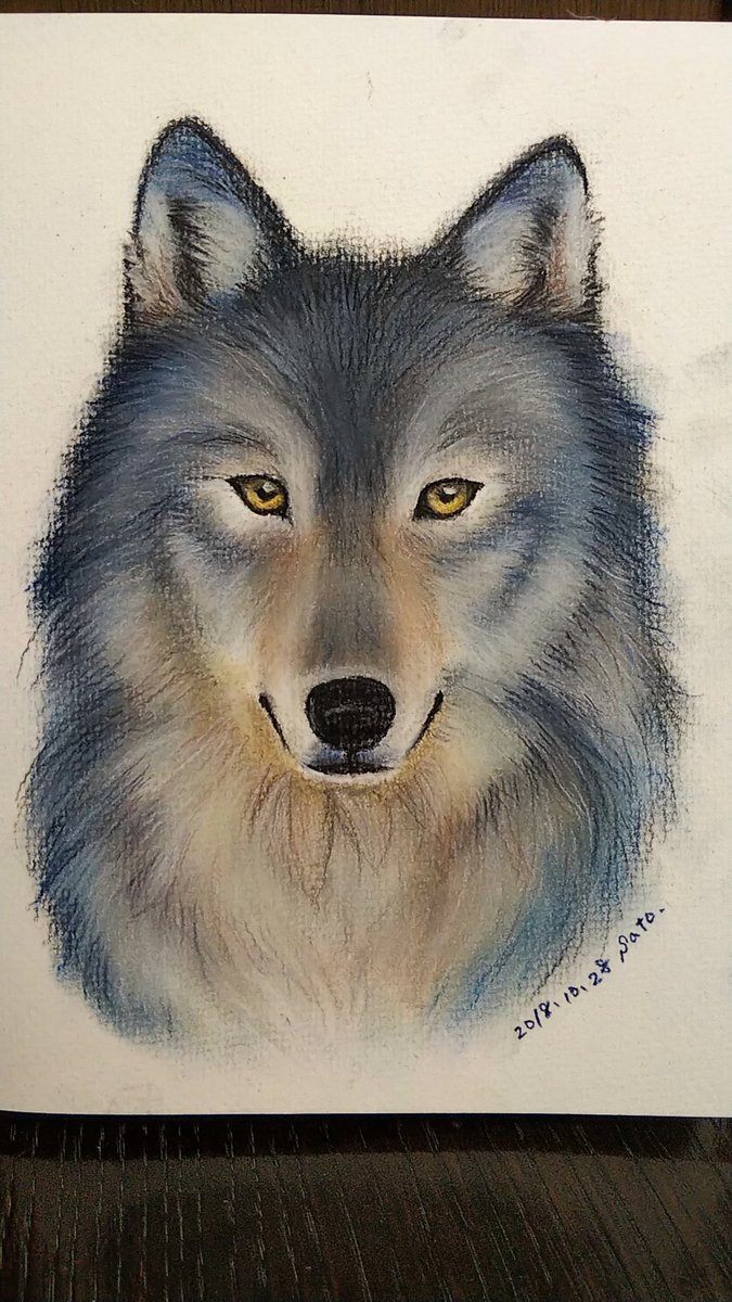 Sato Elegant Blue パステル パステルイラスト パステル画 リアルイラスト ハードパステル 狼 Wolf Pastel T Co dk5mln77 Twitter