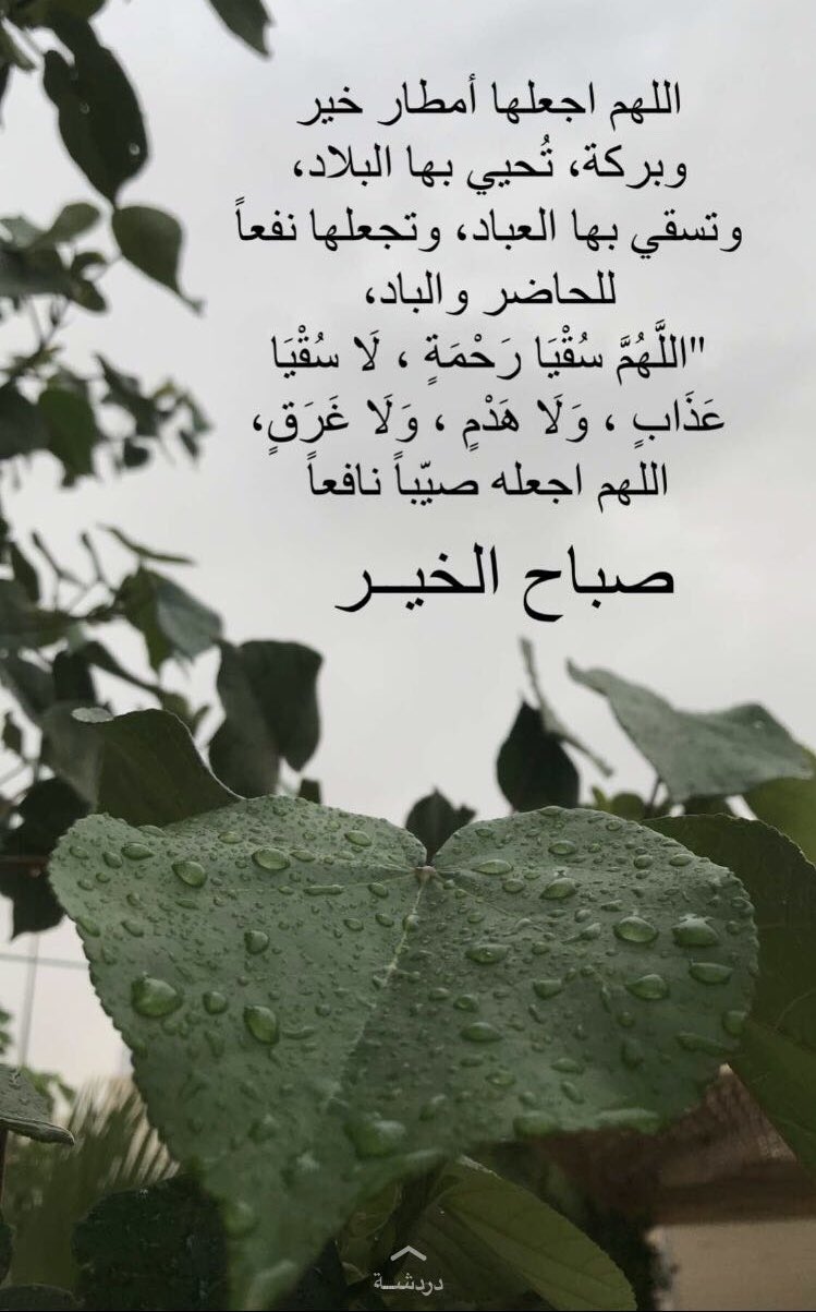 أ.د. خولة الشويعر al Twitter: 