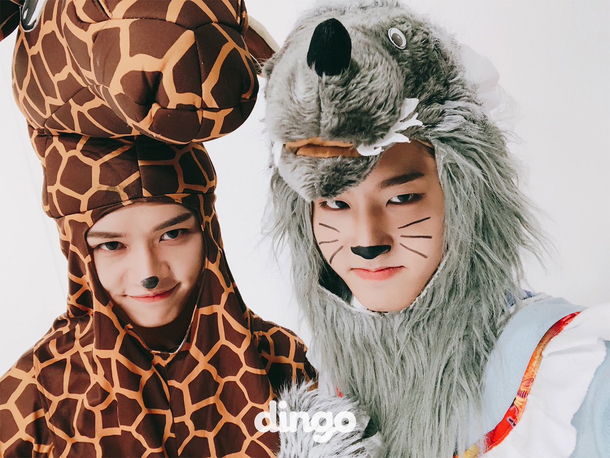 ̈ minsung #민성 (@minsungofficial) / Posts / X