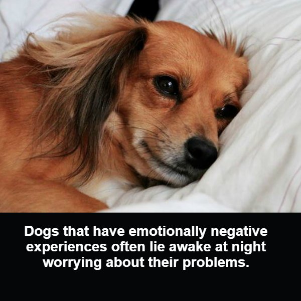 ScienceDiscuss's tweet image. 