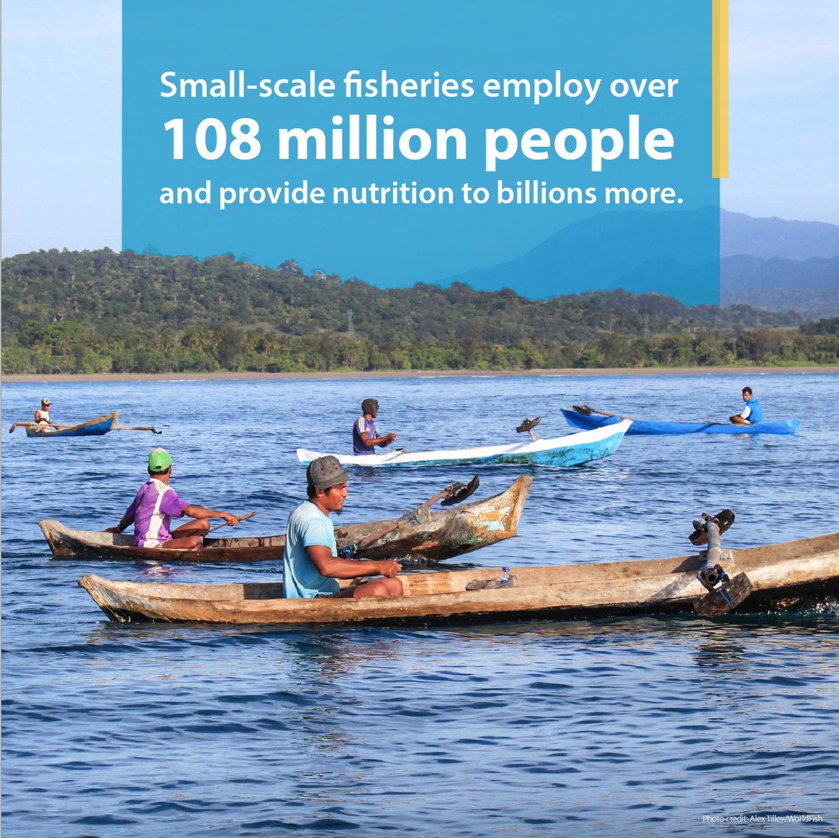 katebevitt's tweet photo. #GAF7 and #3wsfc are over, but the momentum continues this week with @WorldFishCenter, @FAOfish, @NichInstitute and @oakfnd gathering in Penang to discuss ways to build collective action, coordination & communication around sustainable SSF.
https://t.co/2PMz72JMv1 #SpeakUp4SSF https://t.co/8U8yQi4vOQ