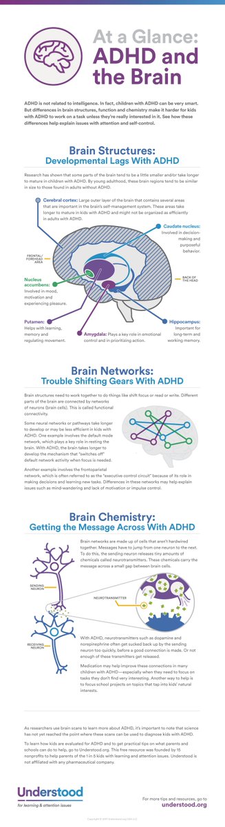 Have you read this article? What do you think? At a Glance: ADHD and the Brain buff.ly/2NFO2bD