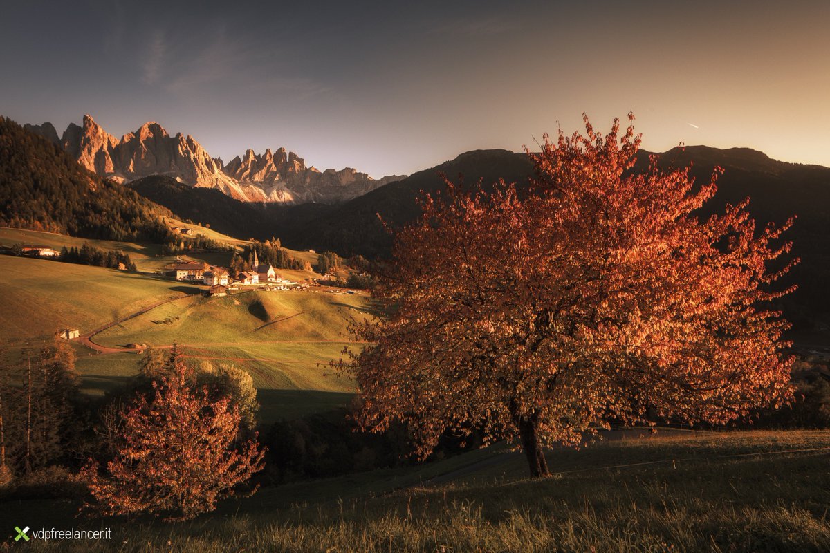 VDPFreelancer's tweet photo. Il ciliegio più fotografato del mondo!! 😉
(Santa Maddalena in Val di Funes) @dolomiti_it @DolomitiEmotion @DolomitesUNESCO @my_suedtirol @suedtirol_info @VisitAltoAdige https://t.co/nlFF6JxFhN