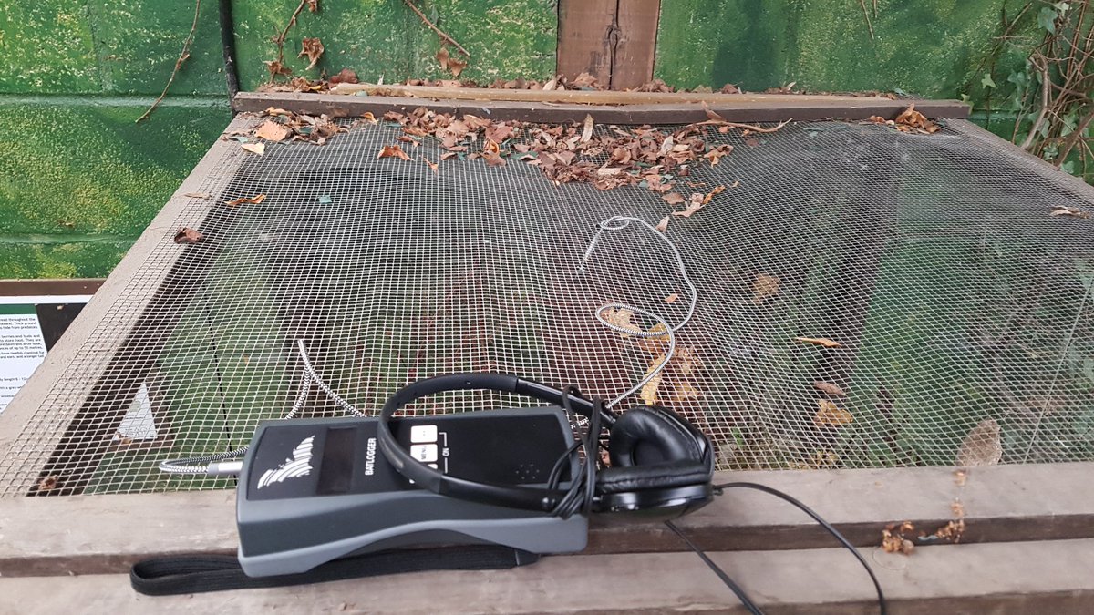 BatAbility's tweet photo. Is That A Bat?  Nope, it's a water vole enclosure with a Batlogger all good to go... Wonder what their sonograms will look like @pelagicpublish #IsThatABat  #bats #batcallsconf https://t.co/PAWRohtWJ5