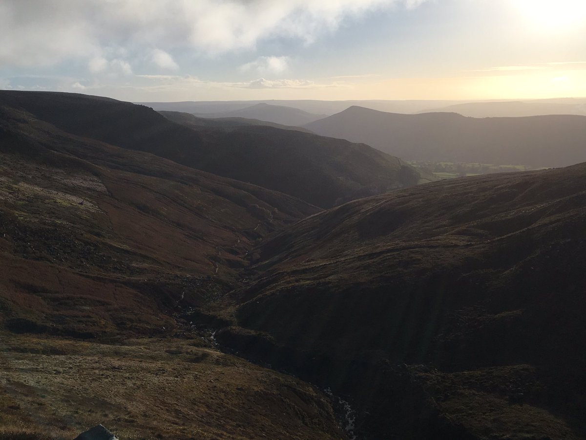houndtrail's tweet photo. Hounds this morning #keephunting #felltop https://t.co/9woIYkDv8q