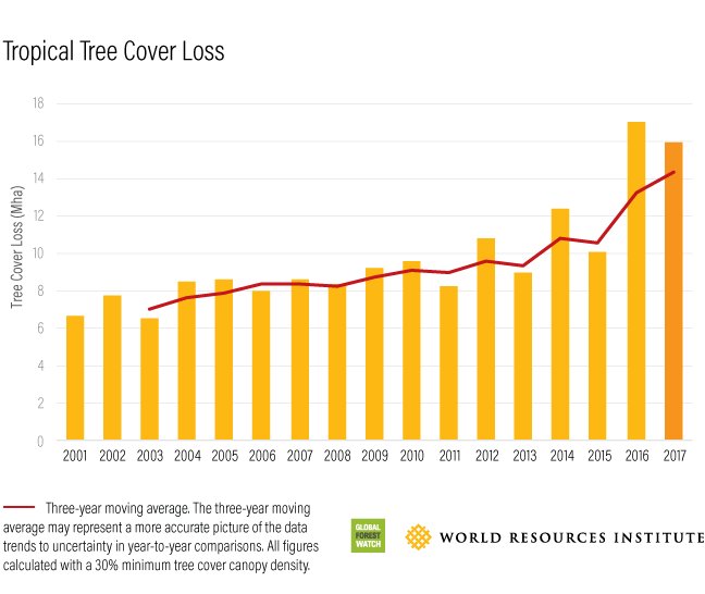 wef's tweet image. Tropical deforestation remains at record levels, despite global progress wef.ch/2z0EINI #environment