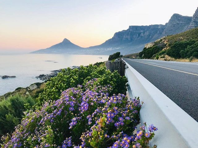 CapeTownGetaway's tweet photo. #Repost @tezatravels
・・・
Morning Vista | Atlantic Seaboard | Sunrise | Coastal Drive | Twelve Apostles #sunrise #mornings #drivetowork #coastaldrives #oceanview #mountainmeetssea #beautifullocations #beautifuldestinations #roadviews https://t.co/Ypt2lpIk88 https://t.co/geXJaW8PLO