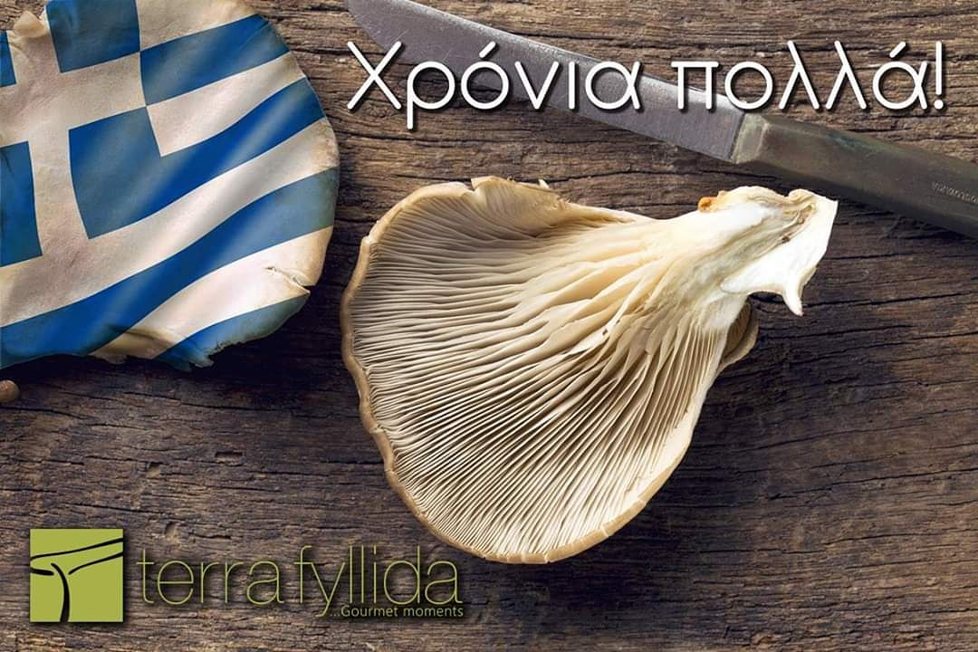 TerraFyllida's tweet photo. Χρόνια πολλά Ελλάδα!
Terra Fyllida... Δοκιμάστε τα μανιτάρια αλλιώς! https://t.co/cPxIS063rF
#TerraFyllida #gourmet #tastyfood #foodie #deli #chutney #spoonsweet #saganaki #mushrooms #μανιταρια #premium #naturalfood https://t.co/0r8NBZuj2N