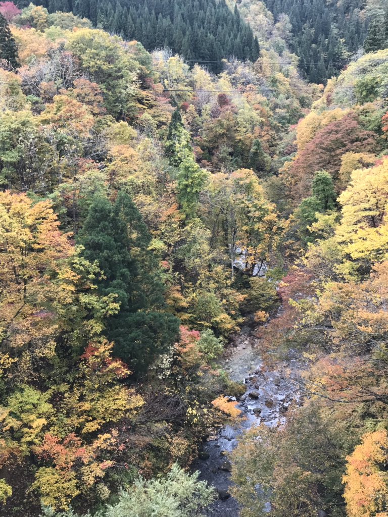 三途川渓谷 三途川渓谷