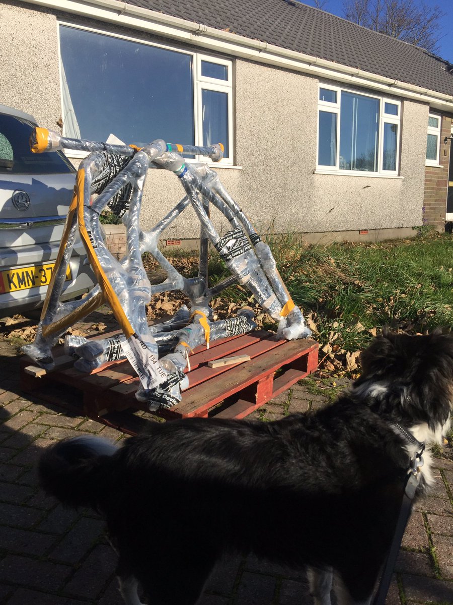 Daisy is unimpressed with the mysterious pallet on the drive...#clio172 #172cup