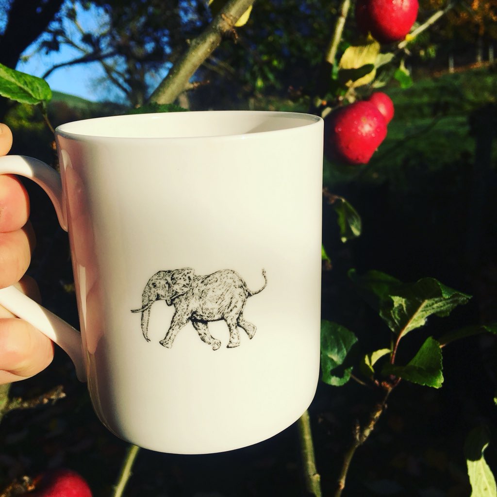 BayTreeCompany's tweet photo. Morning!☀️ nothing better than a beautiful mug of tea to start your day! #littleweaverarts #thebaytreecompany.com #Bruntsfield #Edinburgh #clocksgoback #Memelou #hellogeronimo #sunshine #Autumn https://t.co/PkOduARp9O