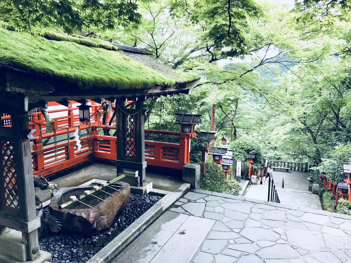 yumemoechi's tweet photo. 鞍馬山 (Mt Kurama), Japan. source: https://t.co/jm8VuydxX9 https://t.co/MmDYgSGpzj
