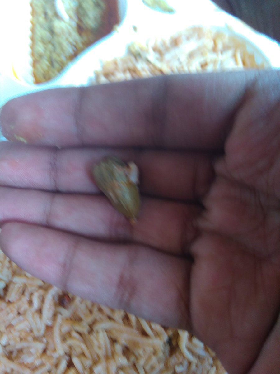 Wallll_E's tweet photo. பிரியாணி எனும் சொர்க்க பூமியில் விதைக்கப்பட்ட கன்னிவெடிகளே கிராம்புகளும், ஏலக்காய்களும் https://t.co/J6SVWsyzNT