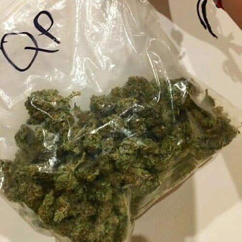 Good n fresh indoors buds Wickr mikejaye for some buds