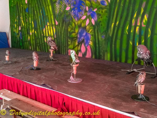 OwlOccasions's tweet image. A wonderful day spent with the 36 French Telligo @Telligo students and Professors at Tockington Manor School @TockingtonManor for their Harry Potter themed week. The Birds resided on the stage observing the students and some put spells on the students who wished to take them home