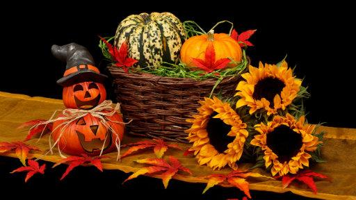 RPropertyblog's tweet photo. There are many half term #Halloween themed events happening across Rotherham this week.

Find out more here: https://t.co/qzXMuFi2ow #rotherhamiswonderful #SocialRoth https://t.co/B4gOPmepzf