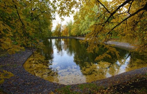 snapgle's tweet photo. "Autumn park" by Aleksandr Mikhaylyuk is a trending photo on #Snapgle! https://t.co/oXuyE7jDad https://t.co/IMey3Tlup3