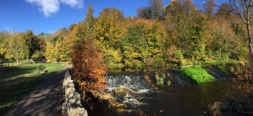diggums's tweet photo. Autumn colours at West Coates yesterday. #wolct #waterofleith https://t.co/5hITDHdvXb