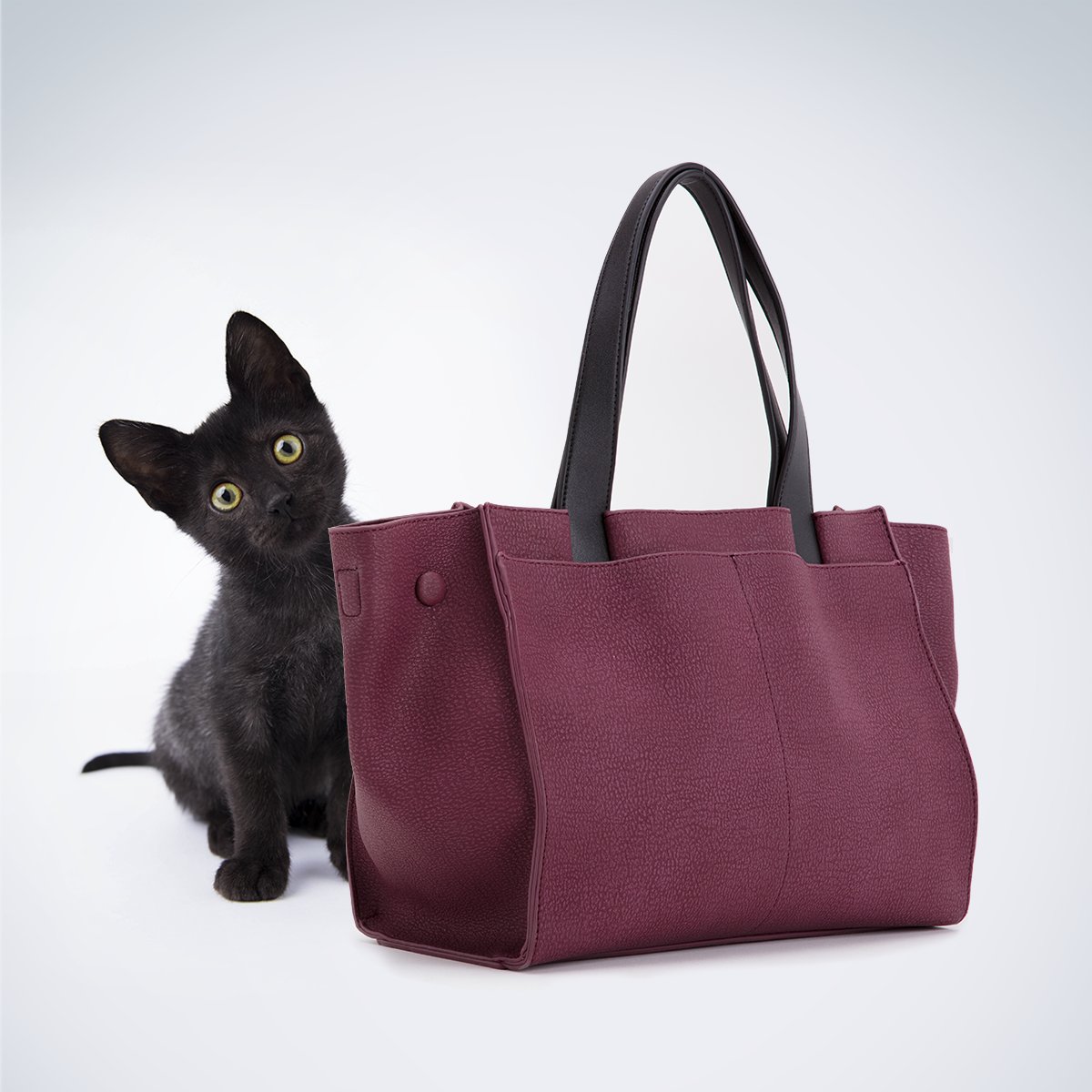 Curioso di scoprire quali idee abbiamo per questo #Halloweek? Scopri di più nei nostri negozi e online.
#Halloween #CarpisaFallCollection #FW18 #FallColors
bit.ly/CarpisaHallowe…