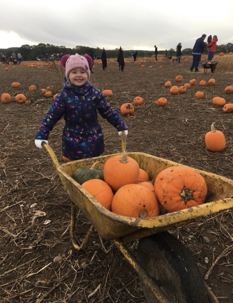 CJackson___'s tweet photo. 🎃  🎃  @Andy_G_Bradley I’ve found another way to avoid a photo 👌     🎃  🎃 https://t.co/D5hxb5f7ZF