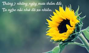 pherpalmerchri2's tweet photo. https://t.co/KxsxBQsqyg