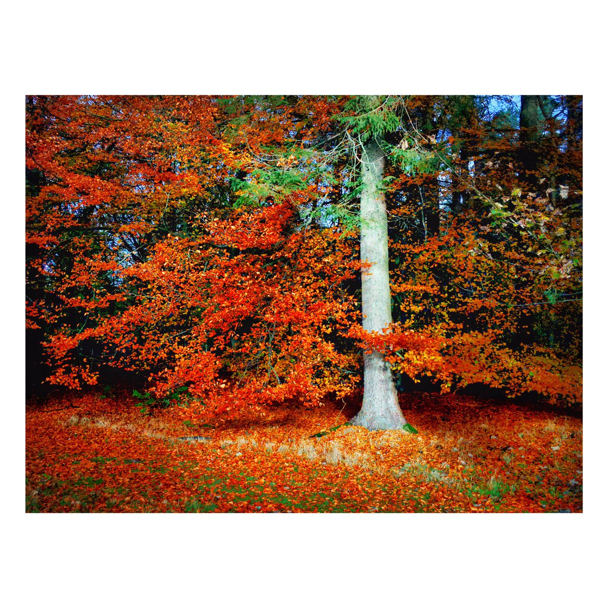 RoadRailAndSea's tweet photo. #iPhone - Scotland yesterday, maybe the last weekend of Autumn https://t.co/oqR2UjKwFg